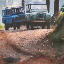 Leichter Frühlings-Blouson -Fred Perry Verkaufsgeschäft 83 1702 2